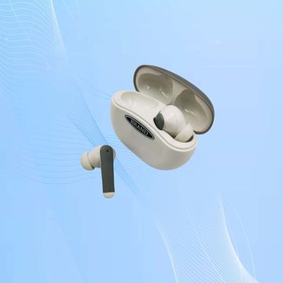 Oplaadbare digitale gehoorapparaten met automatische geluidsonderdrukking