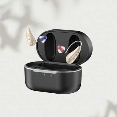 Innovatieve Gehoorondersteunende Hulpmiddelen Ontworpen ter Ondersteuning van Slechthorenden op de Werkplek en in Onderwijsinstellingen